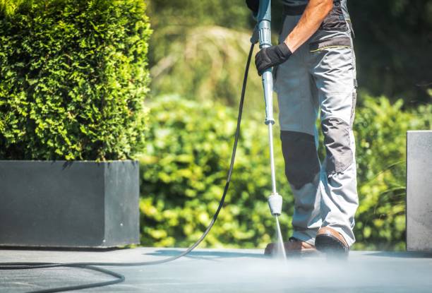 Best Driveway Pressure Washing  in Littlefield, TX