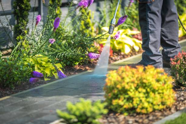 Best Dumpster Area Cleaning  in Littlefield, TX